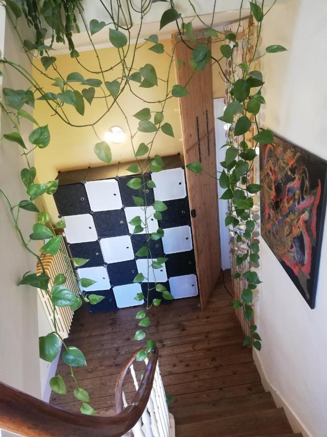 La Chambre D'Hote De Chris Cherbourg-en-Cotentin Exteriör bild